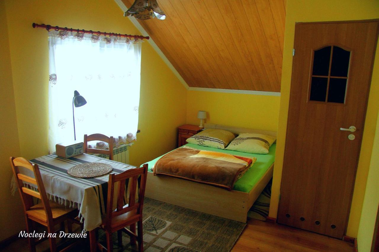 Noclegi Na Drzewie Cisna Exterior photo